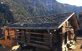 La Cabane De L'Homme Tranquille